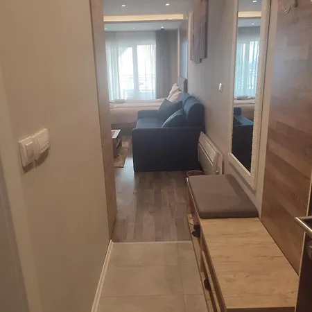 Апартаменты Privat Milmari Копаоник